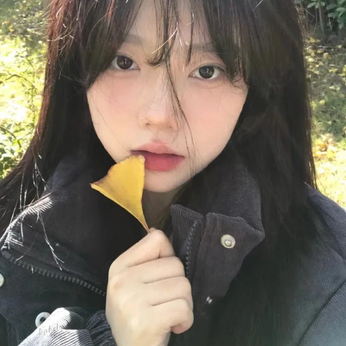 星之海的阿姆莉